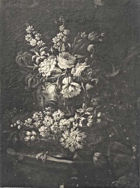 Anonimo — Mezzadri Antonio - sec. XVII - Natura morta con vaso di fiori — insieme